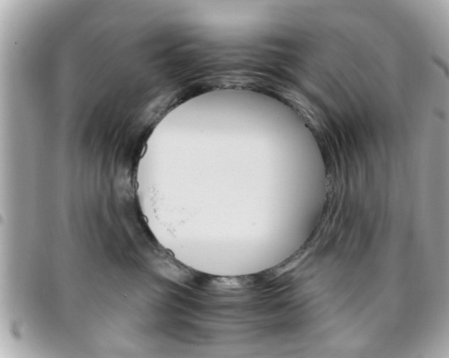 X0000096440381200801241123