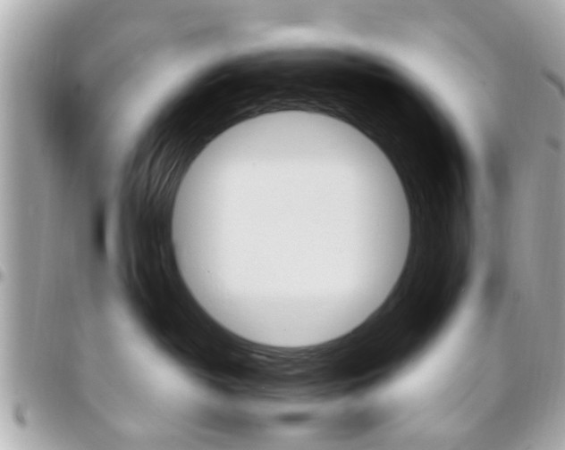 X0000096440382200801241123