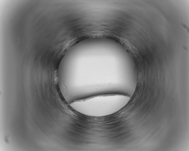 X0000096440383200801241123