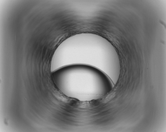 X0000096440384200801241123
