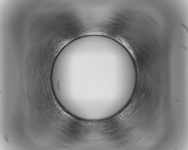 X0000096440385200801241123