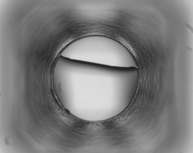 X0000096440386200801241123