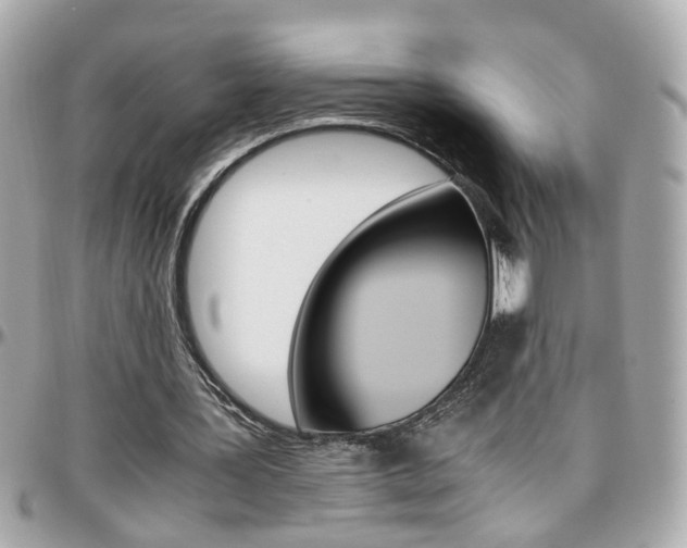 X0000096440387200801241123