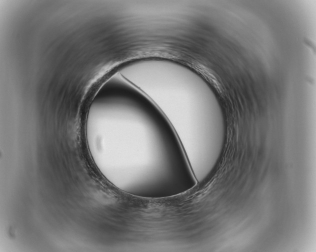 X0000096440388200801241123