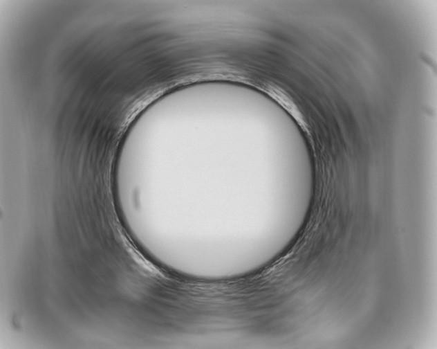 X0000096440389200801241123