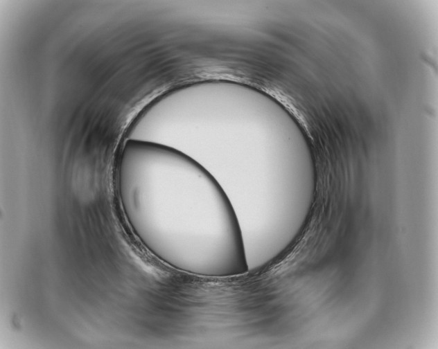 X0000096440390200801241122