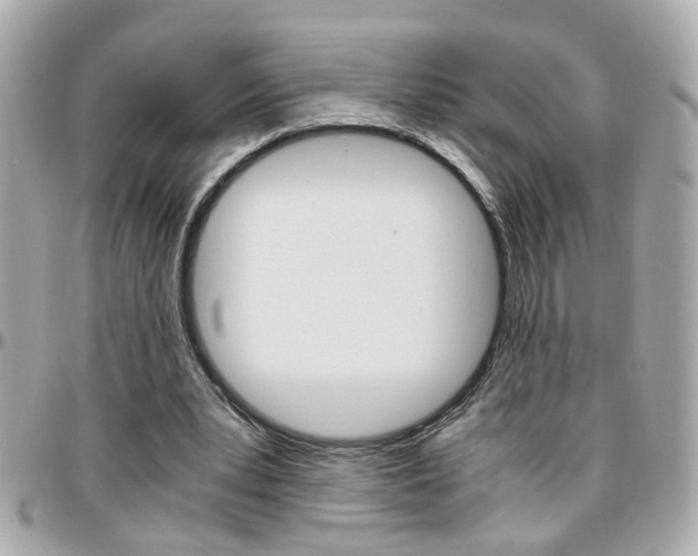 X0000096440391200801241122