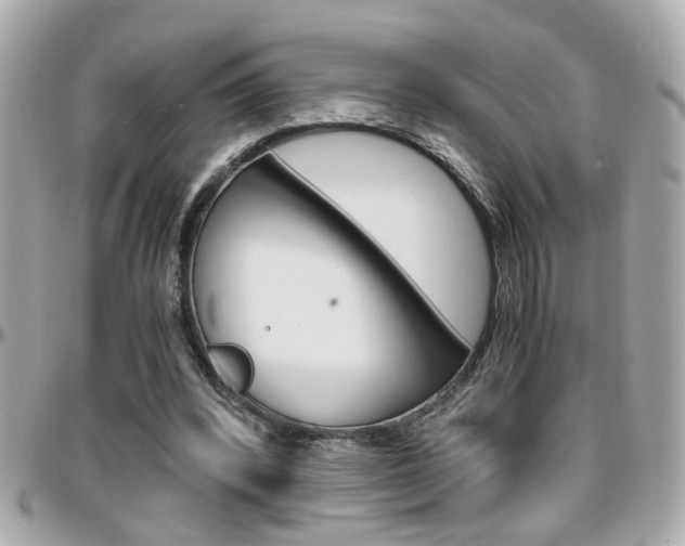 X0000096440392200801241122