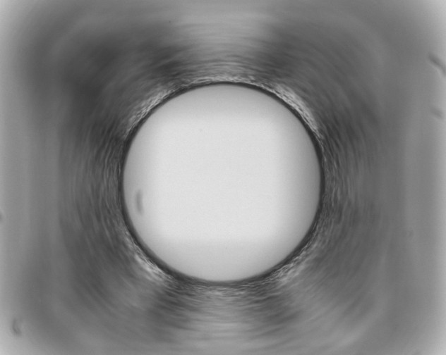 X0000096440393200801241122