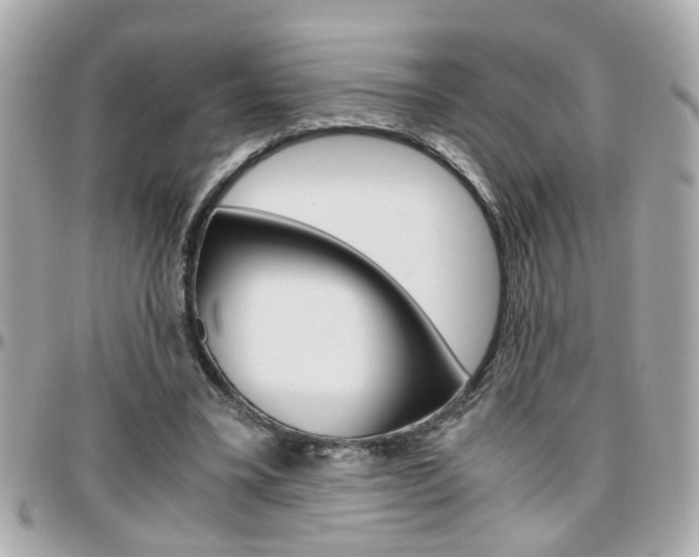 X0000096440395200801241122