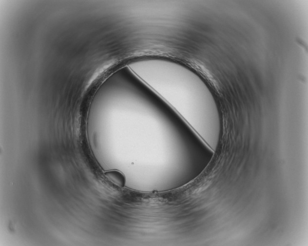 X0000096440396200801241122