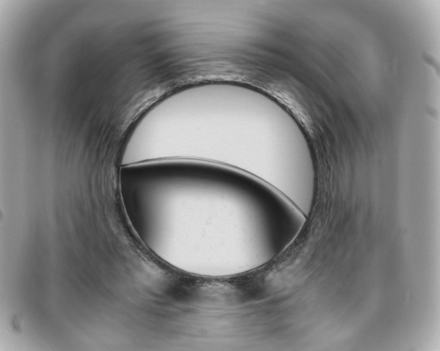 X0000096440397200801241122