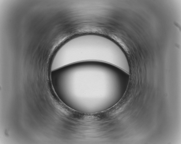 X0000096440399200801241122