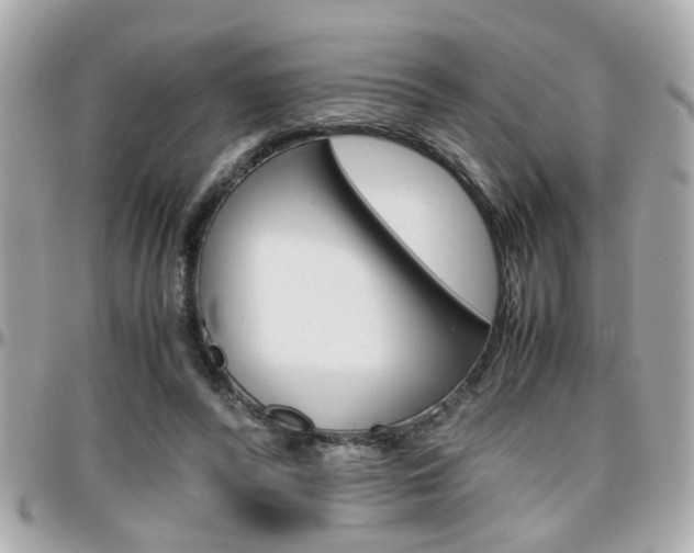 X0000096440400200801241122