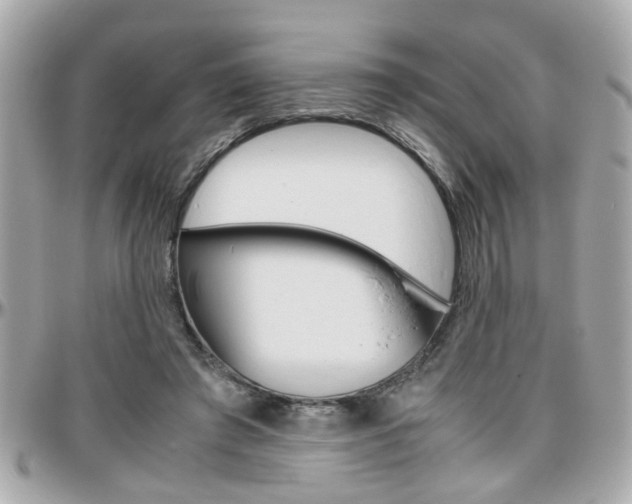 X0000096440401200801241122