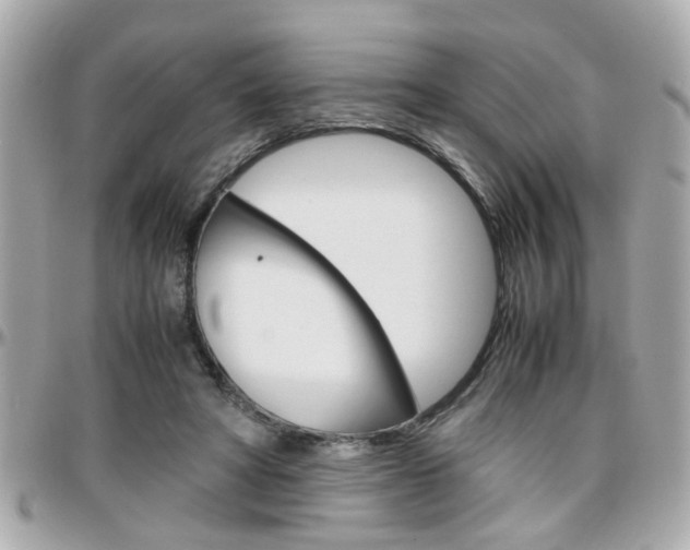 X0000096440402200801241122