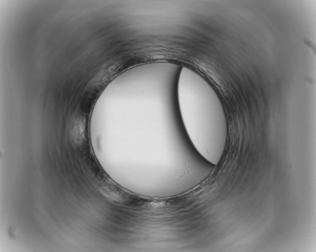 X0000096440406200801241122
