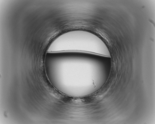 X0000096440407200801241122