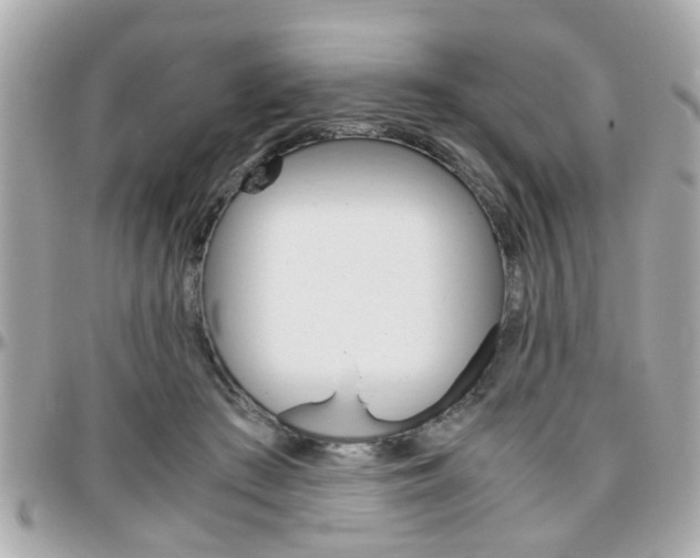 X0000096440409200801241122