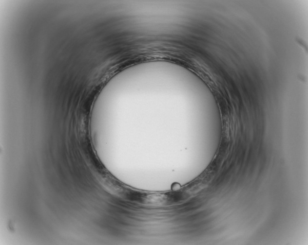 X0000096440410200801241122