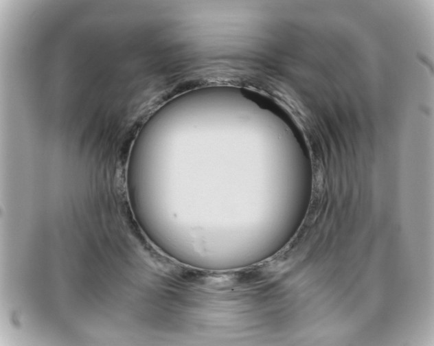 X0000096440411200801241122