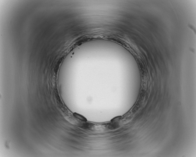 X0000096440413200801241122