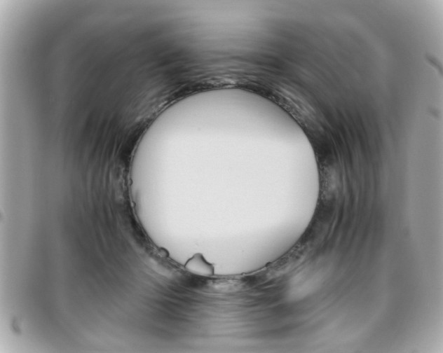 X0000096440414200801241122