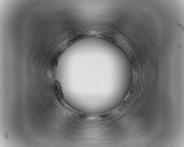 X0000096440415200801241122