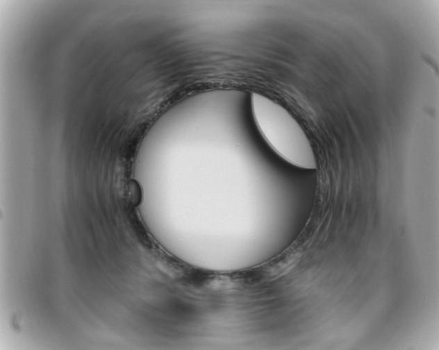 X0000096440416200801241122
