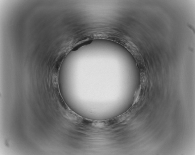 X0000096440419200801241122