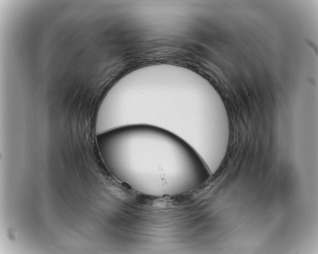 X0000096440420200801241122