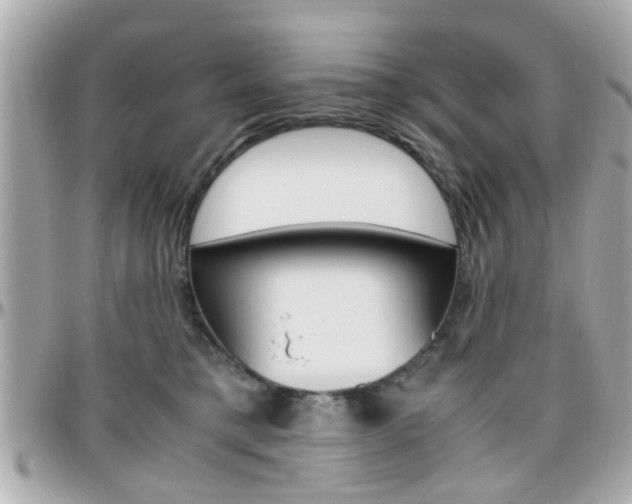 X0000096440421200801241122