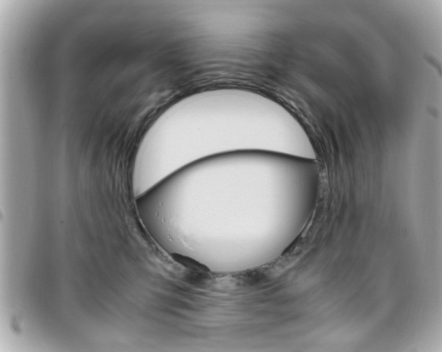 X0000096440423200801241122