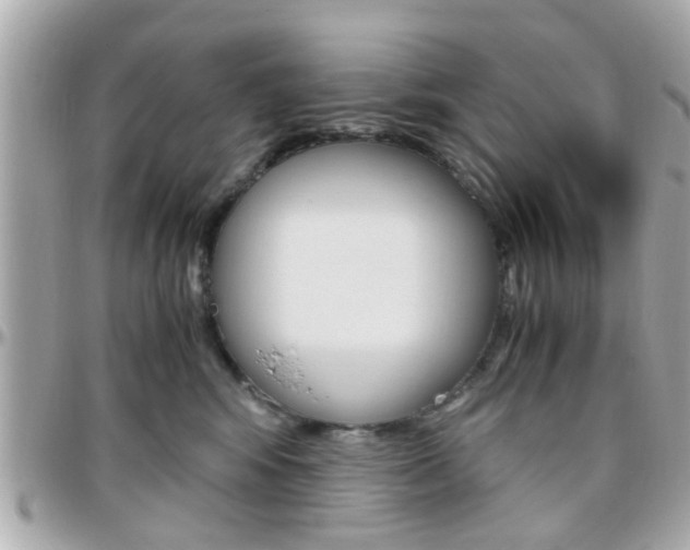X0000096440424200801241122