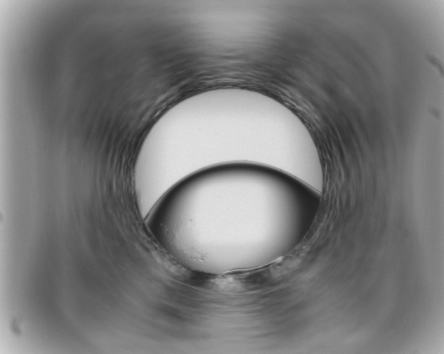 X0000096440425200801241122