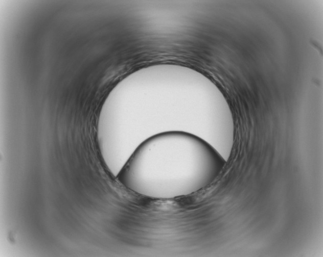 X0000096440427200801241122