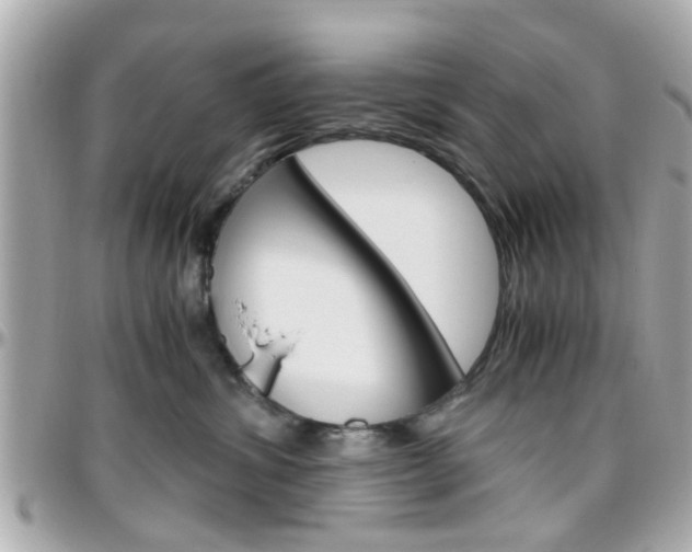 X0000096440428200801241122