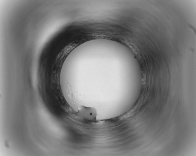 X0000096440430200801241122