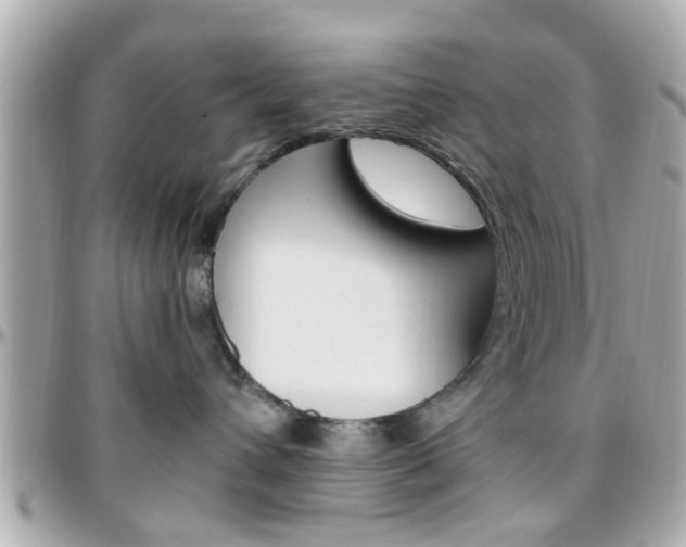 X0000096440432200801241122