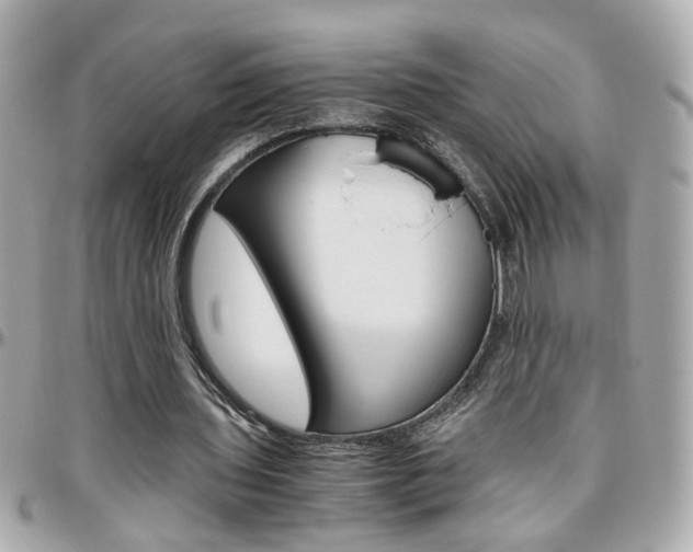 X0000096440435200801241121