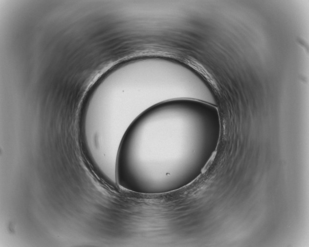 X0000096440436200801241121