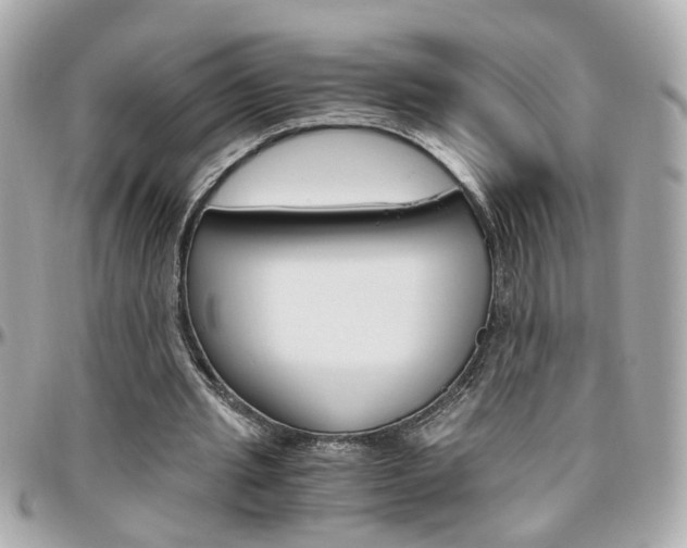 X0000096440437200801241121