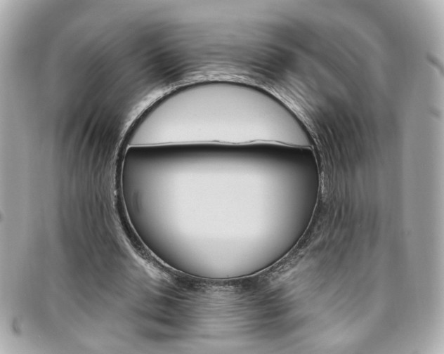 X0000096440438200801241121