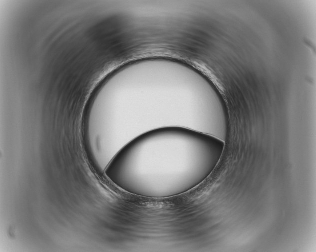 X0000096440439200801241121