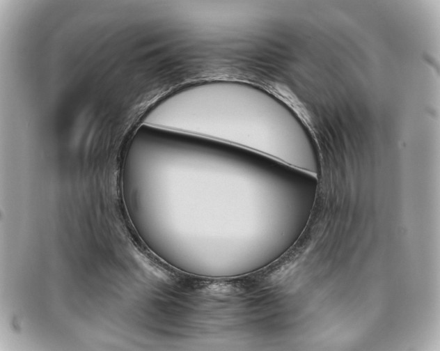 X0000096440441200801241121