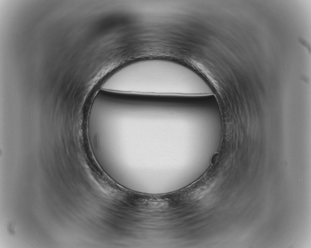 X0000096440443200801241121