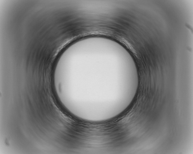 X0000096440444200801241121