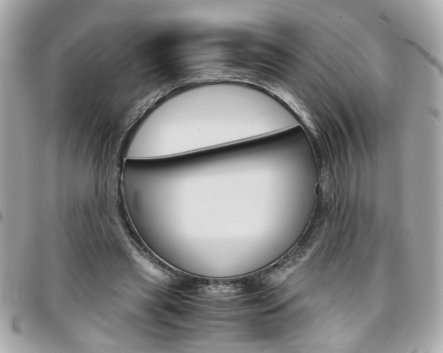 X0000096440445200801241121