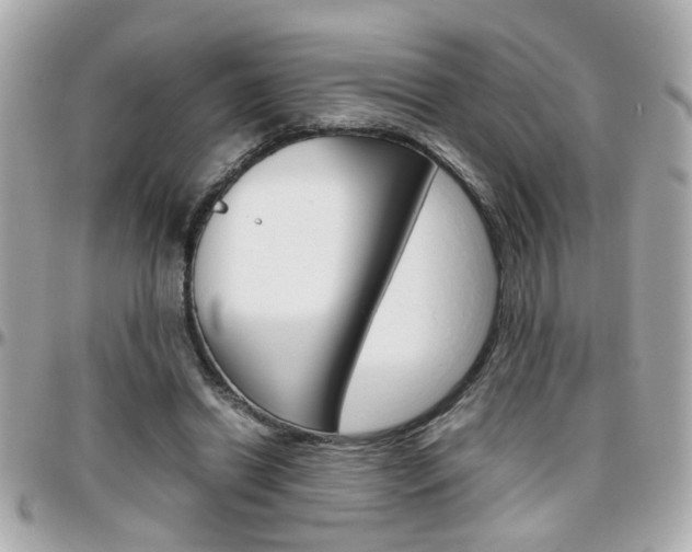 X0000096440446200801241121