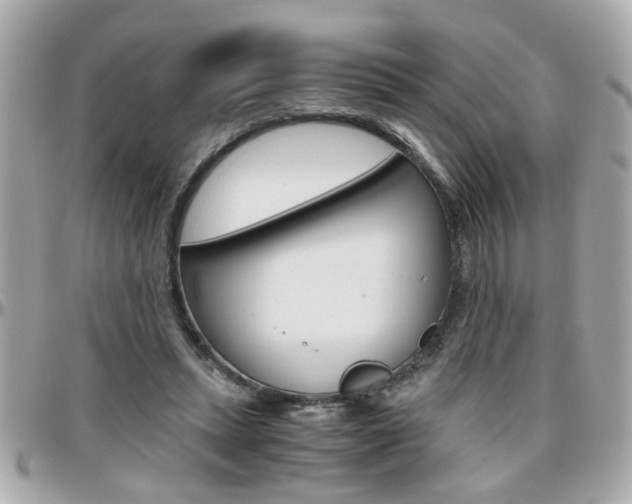 X0000096440447200801241121